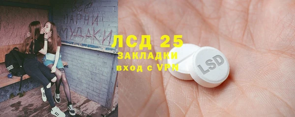 ПСИЛОЦИБИНОВЫЕ ГРИБЫ Армянск
