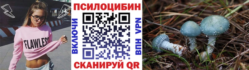 Галлюциногенные грибы Cubensis  купить закладку  Свирск 